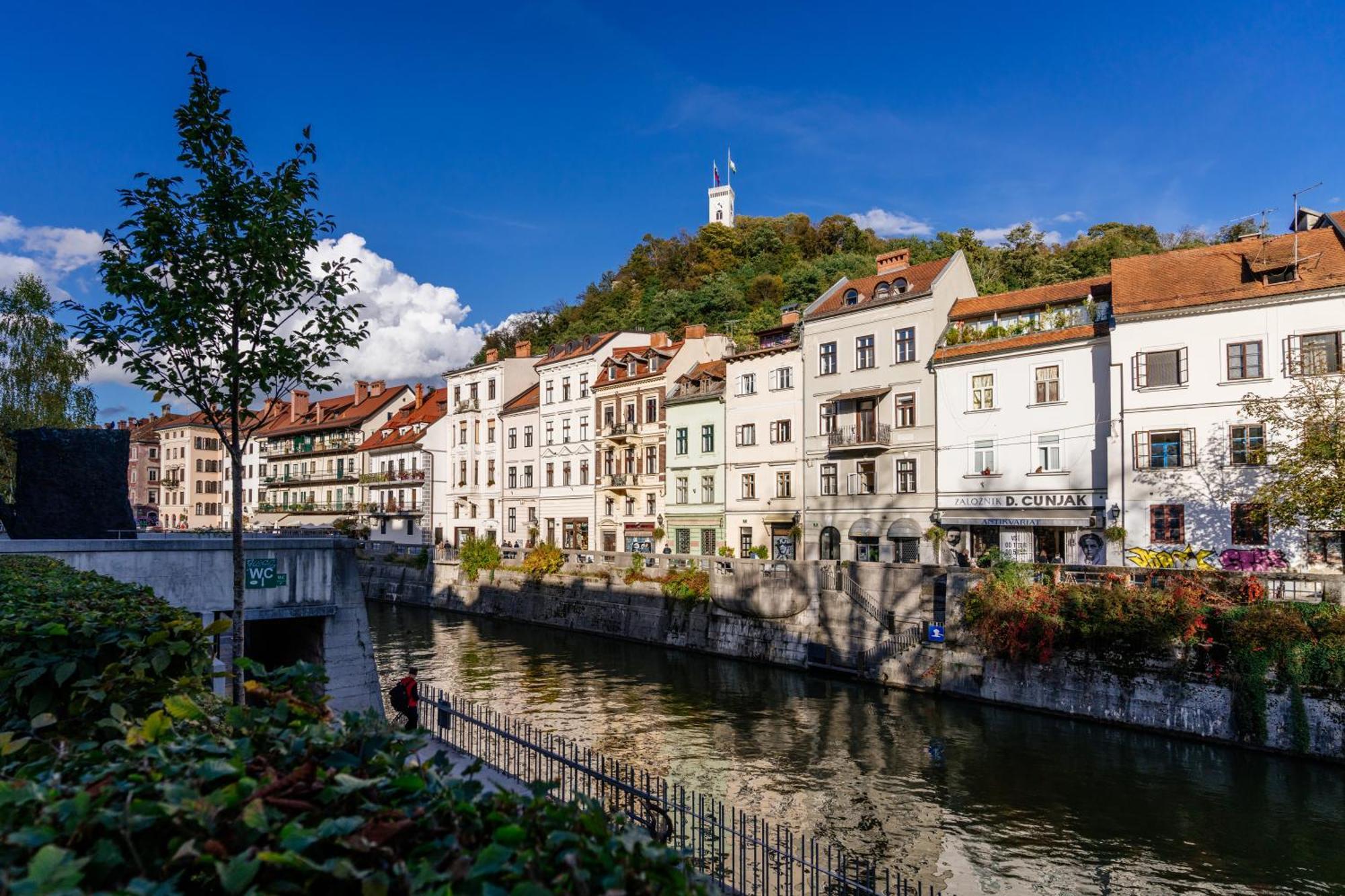 Ella'S Castle View Apartment Любляна Екстер'єр фото